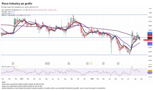 TradeVille: ROCA Industry - în faţa unui an decisiv